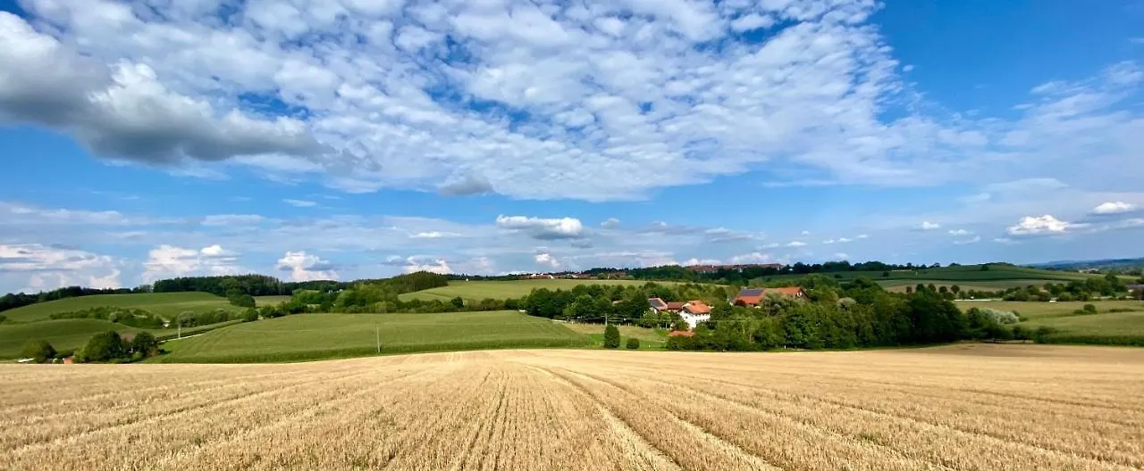 Gut Schwarz-N Hof Ferienwohnungen Bad Griesbach